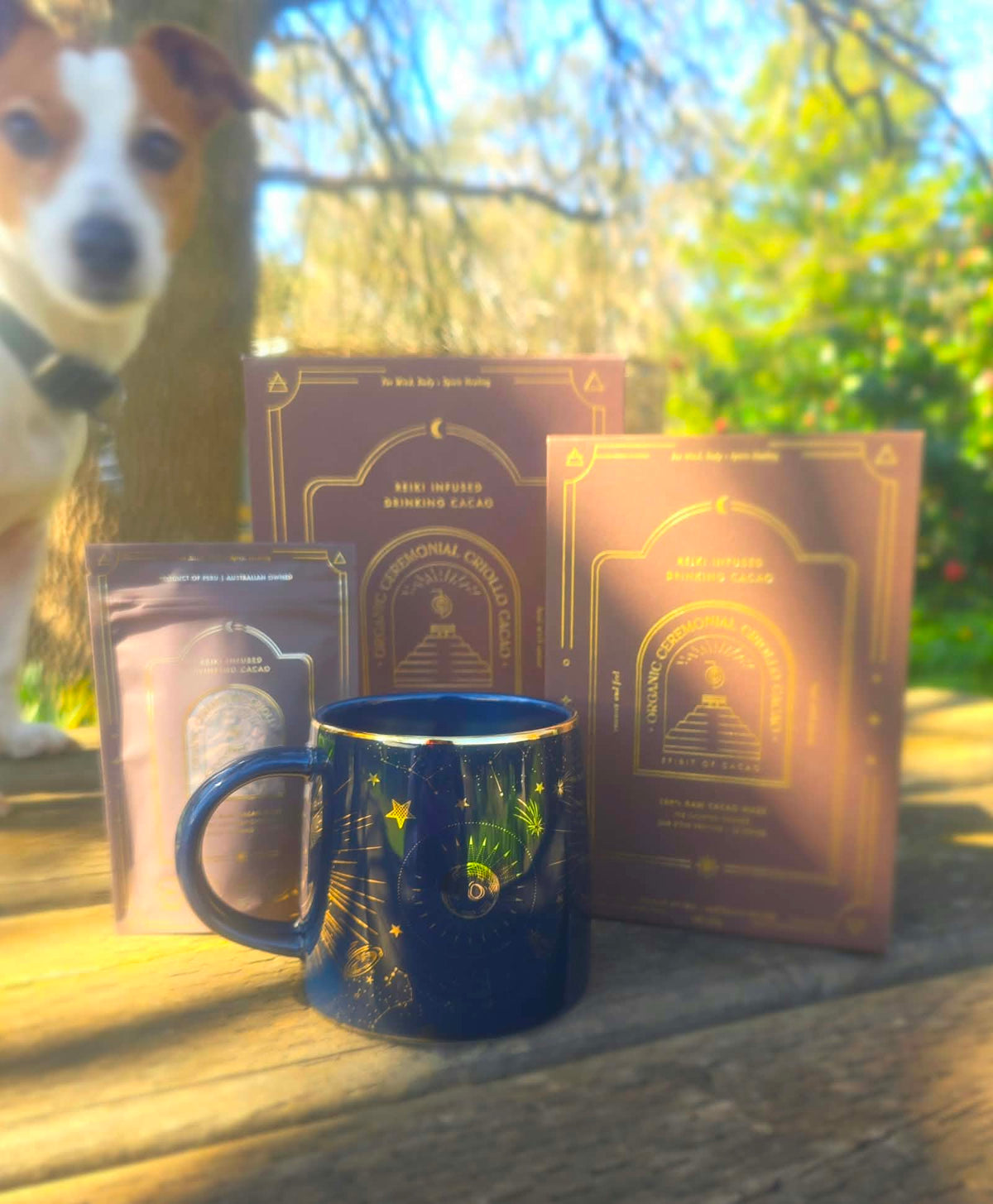 Ceremonial Reiki Infused Cacao